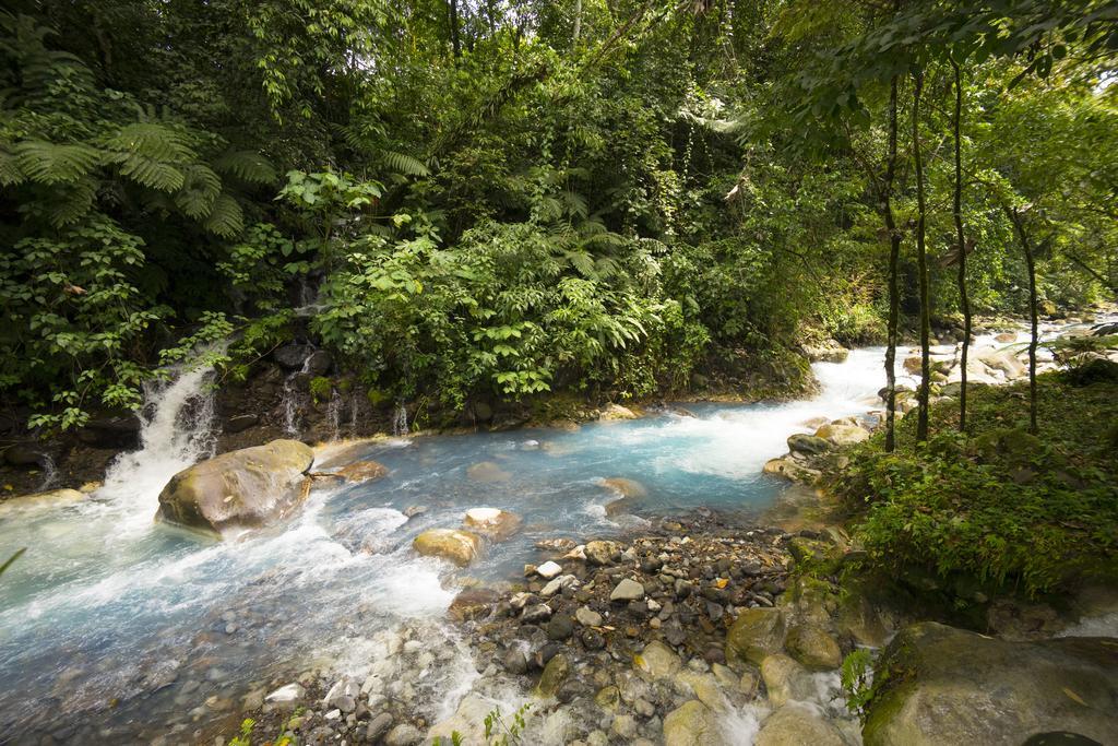 Blue River & Hot Springs Liberia